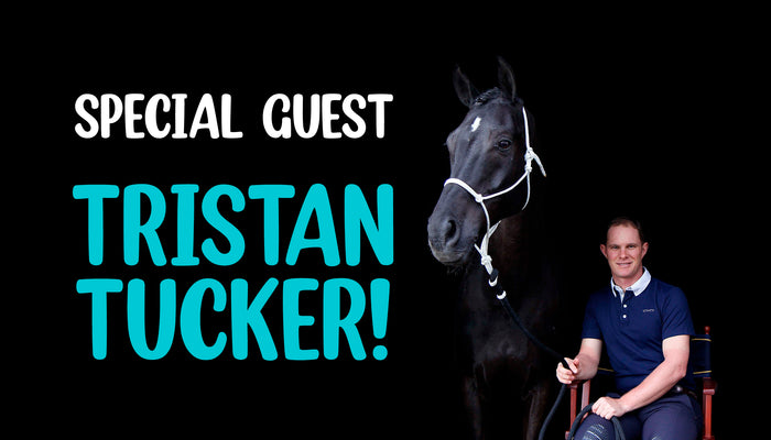 Mental training for horses