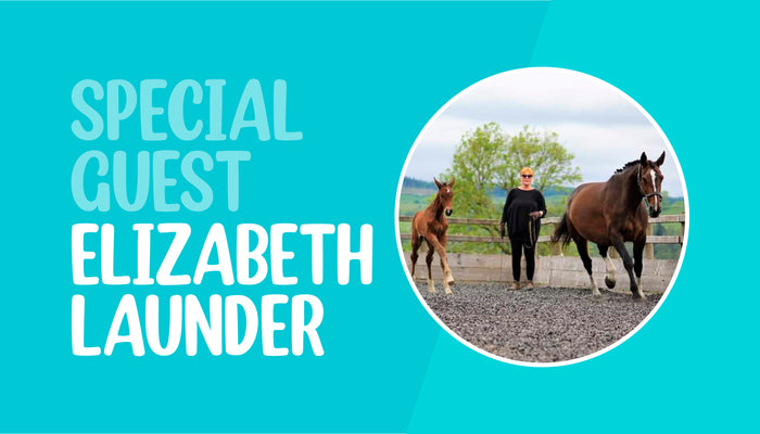 Osteopathy for Horse and Rider