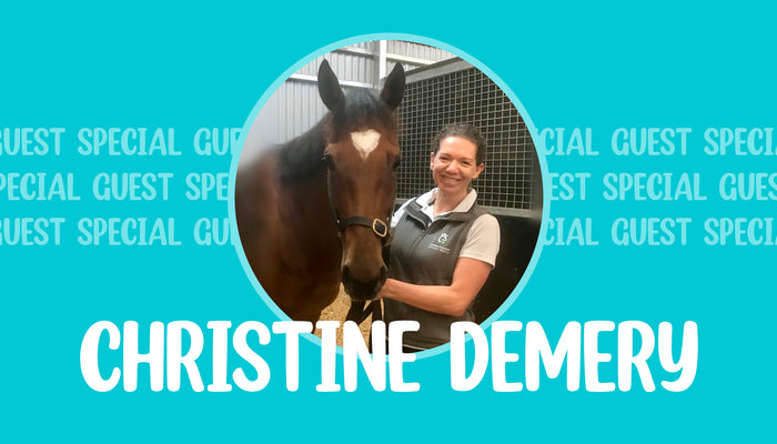 Help! Is my horse lame?