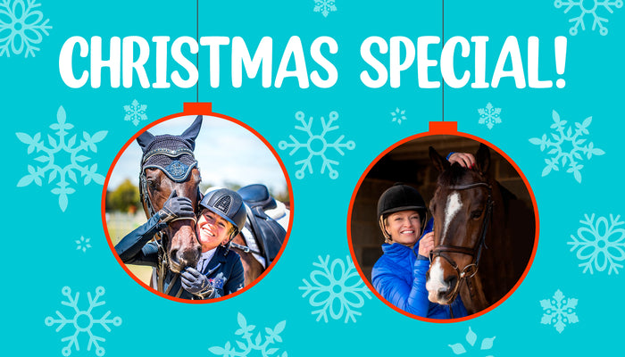 All I Want for Christmas (The Equestrian Edition)
