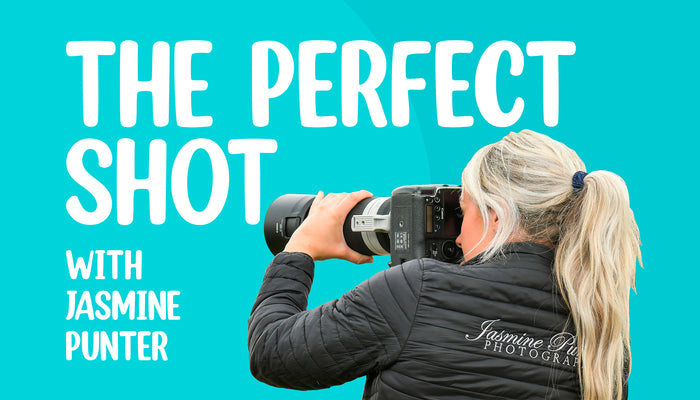 Tips for a great photo with your horse