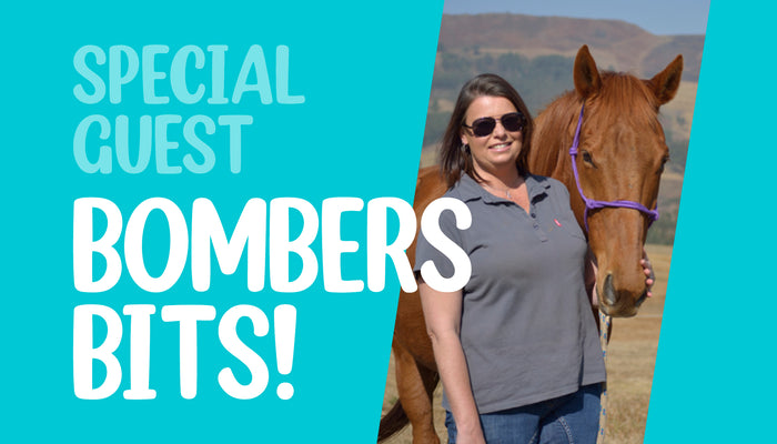 Bit-busting! Myths, tricks and tips for the perfect bitting experience