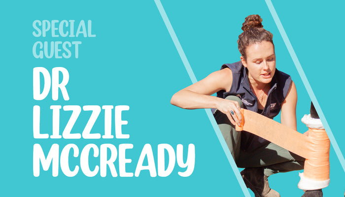 Preparing for Equine Emergencies with Dr Lizzie McCready